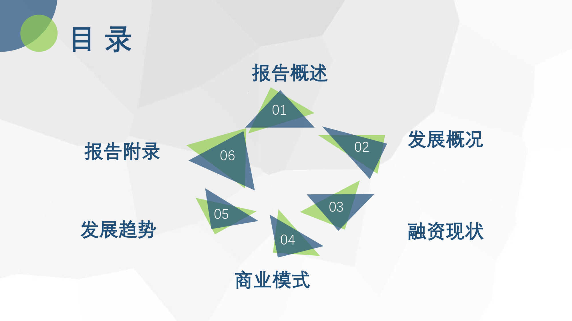 2017年度中国出口跨境电商发展报告_第5页