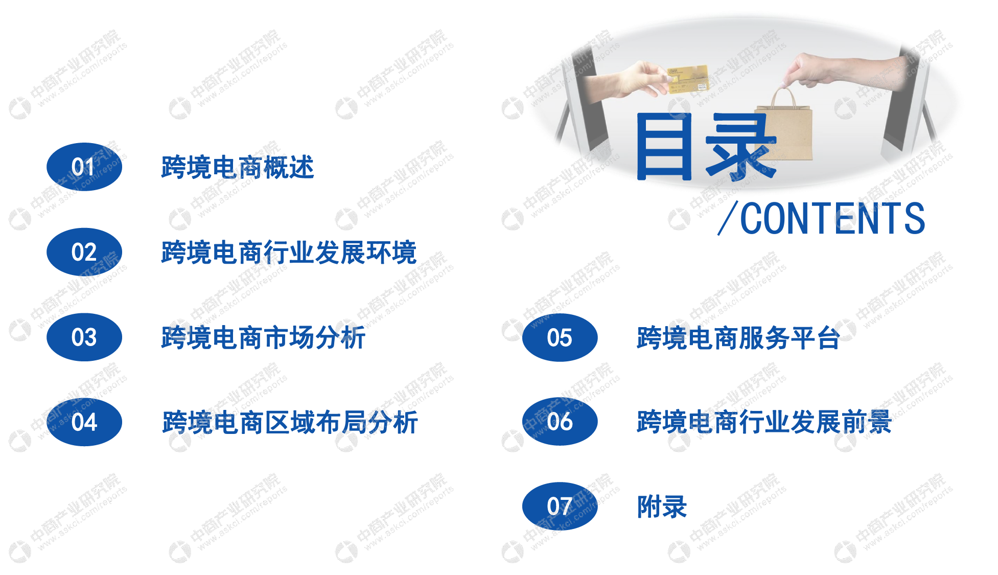 2020年中国跨境电商行业市场前景及投资研究报告_第3页