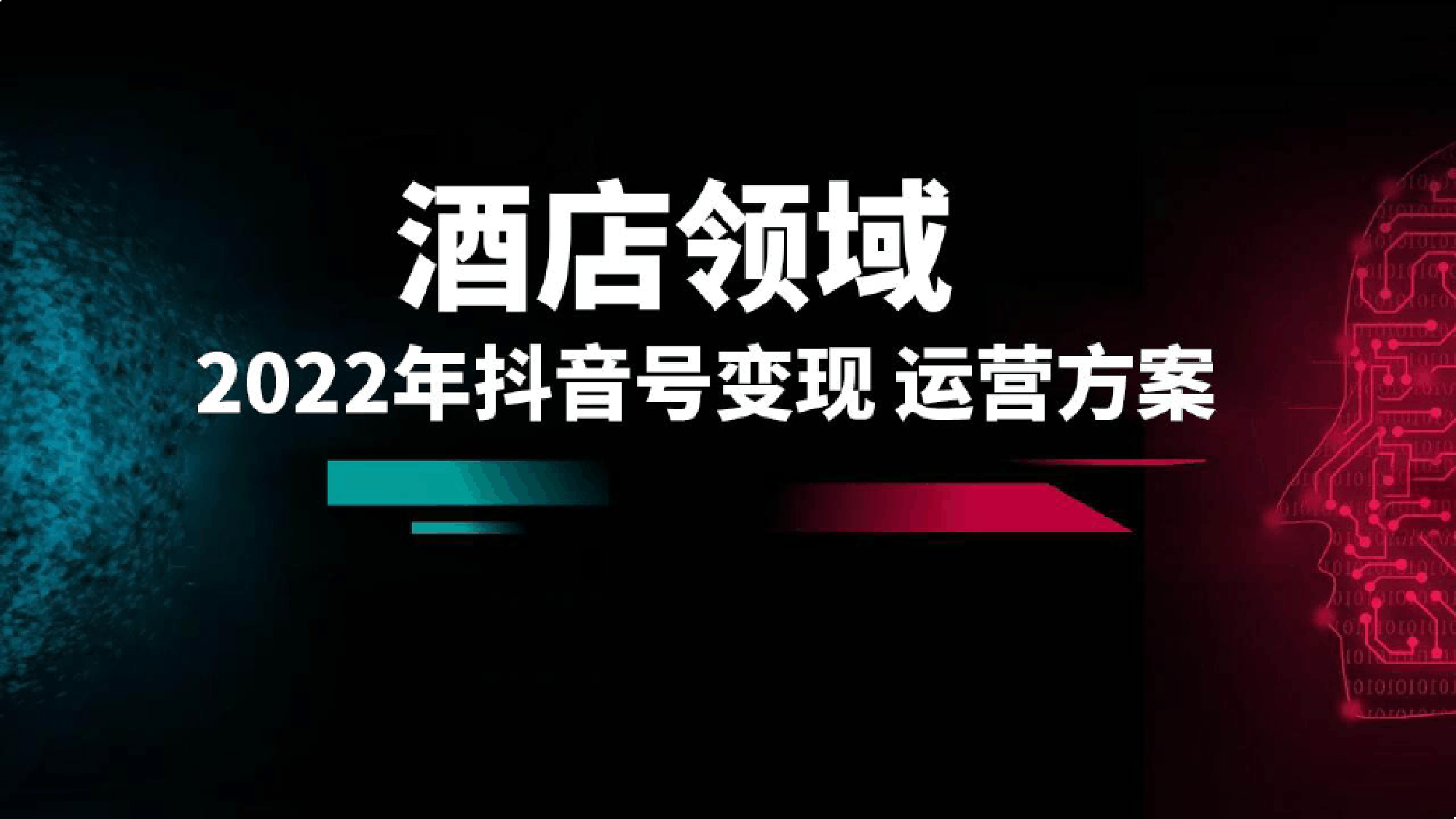 2022年酒店领域抖音号变现-运营方案_第1页