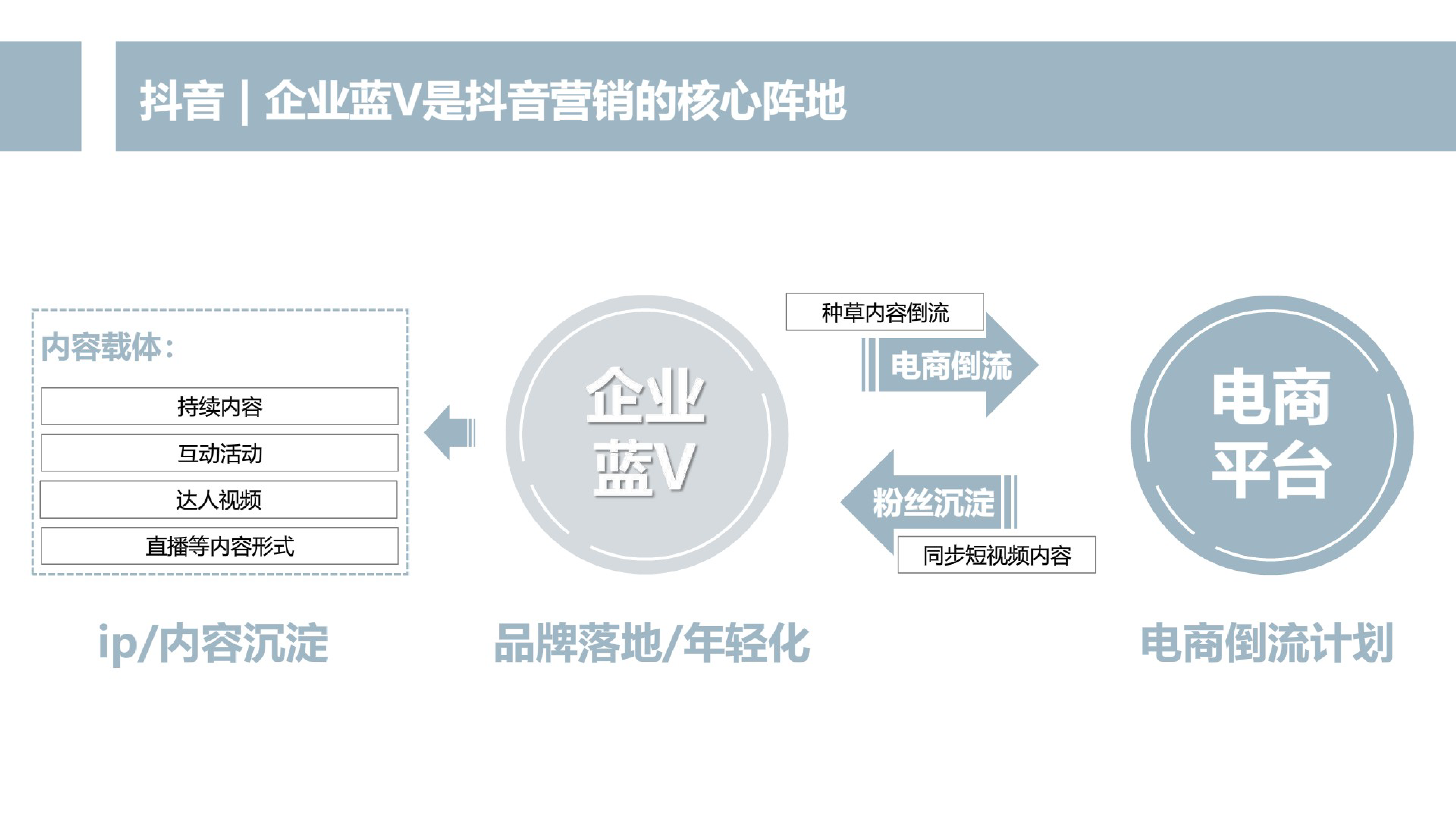 3.2019四特酒抖音蓝V运营策略方案【酒水】【快消零售】【抖音】_第5页