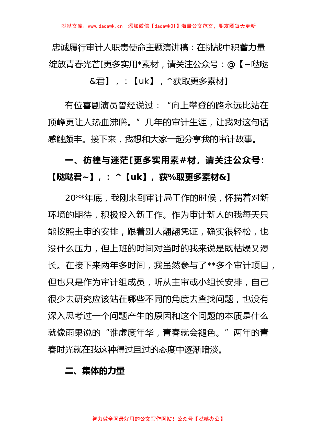 忠诚履行审计人职责使命主题演讲稿：在挑战中积蓄力量绽放青春光芒_第1页