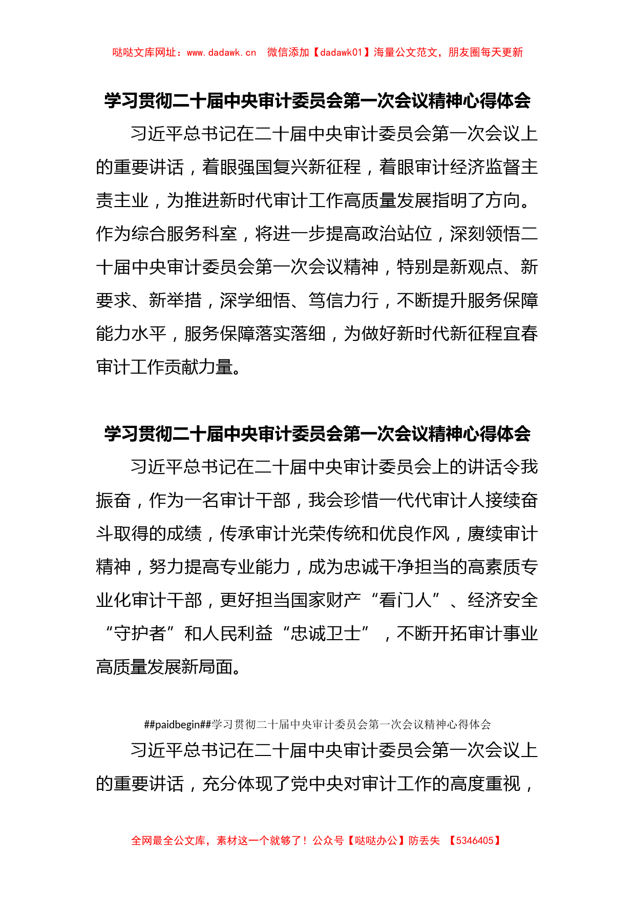 学习贯彻二十届中央审计委员会第一次会议精神心得体会【哒哒】_第1页