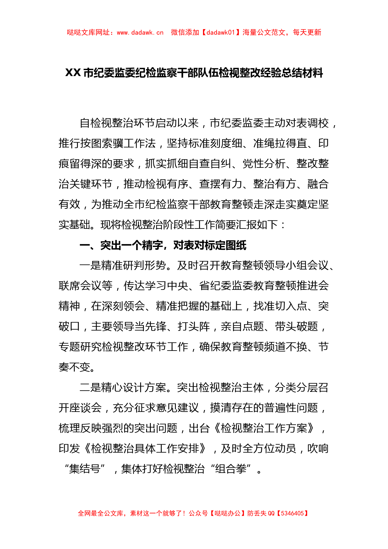 XX市纪委监委纪检监察干部队伍检视整改经验总结材料【哒哒】_第1页