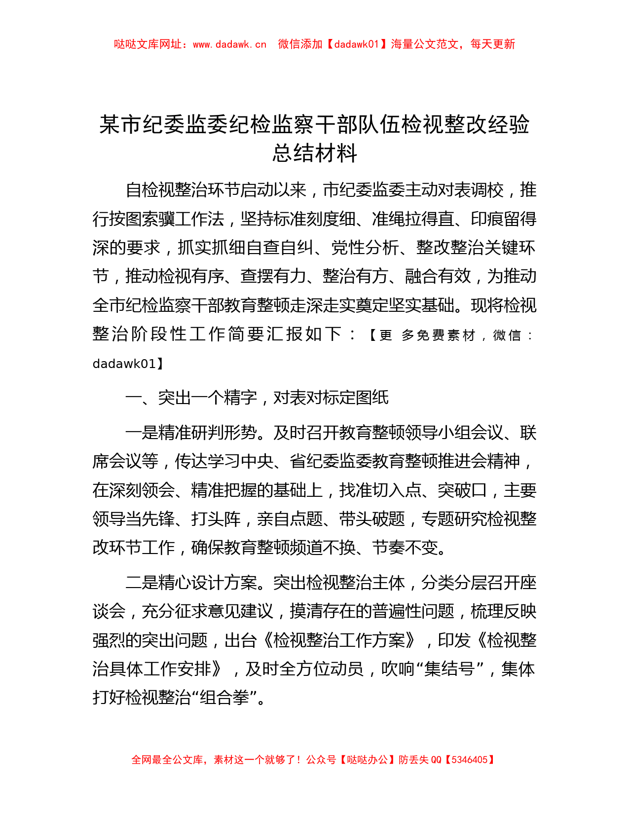 某市纪委监委纪检监察干部队伍检视整改经验总结材料【哒哒】_第1页