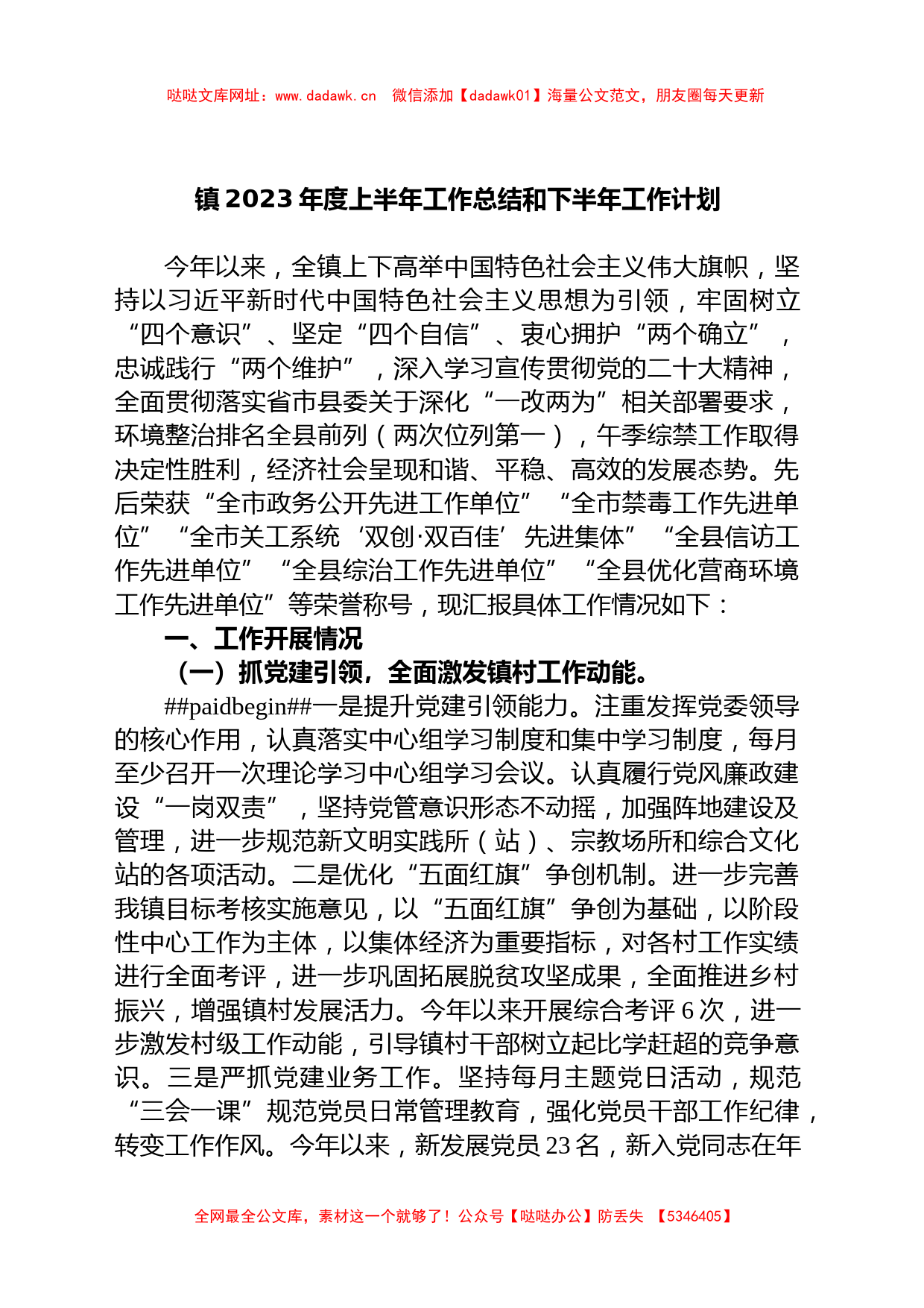 镇2023年度上半年工作总结和下半年工作计划【哒哒】_第1页