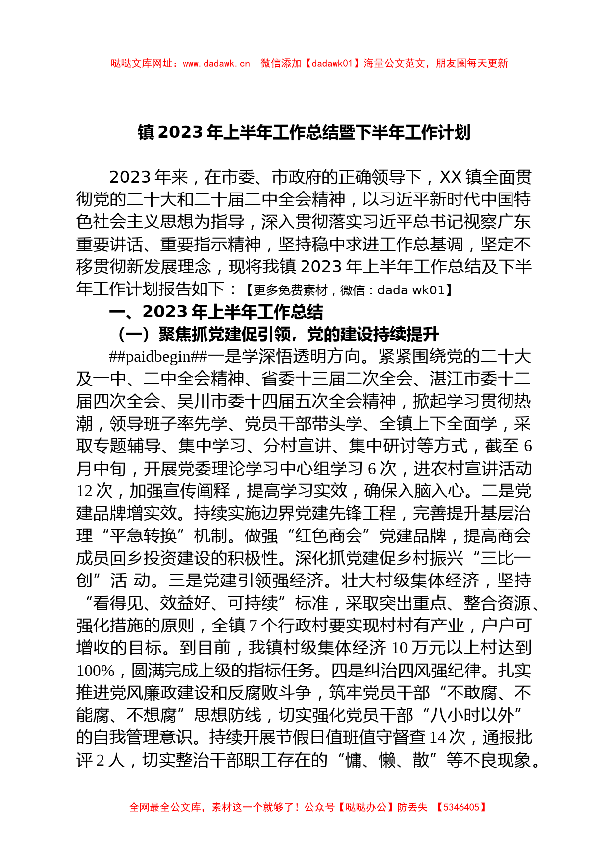 镇2023年上半年工作总结暨下半年工作计划【哒哒】_第1页