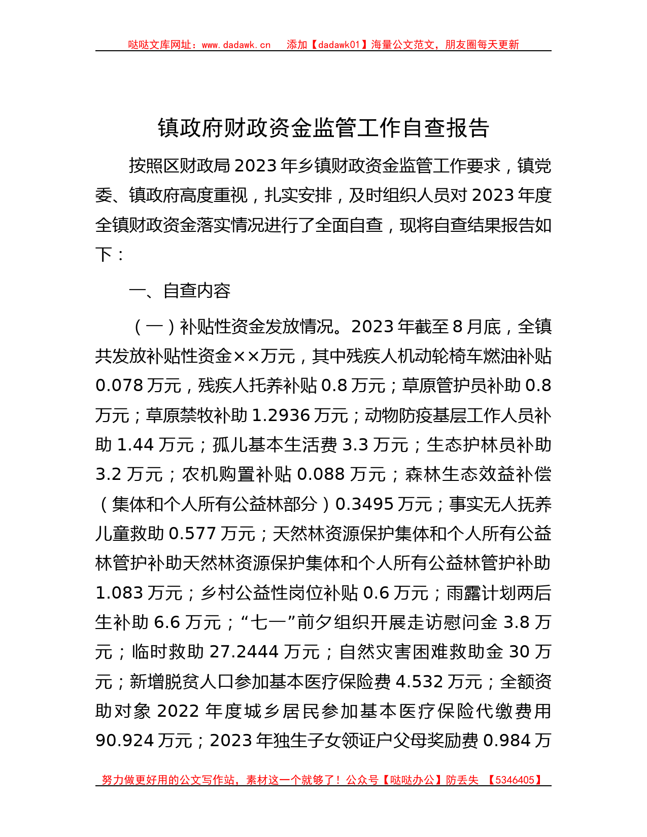 镇政府财政资金监管工作自查报告_第1页