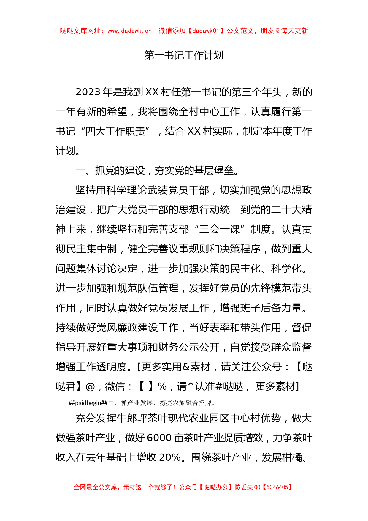 2023年第一书记工作计划【哒哒】_第1页