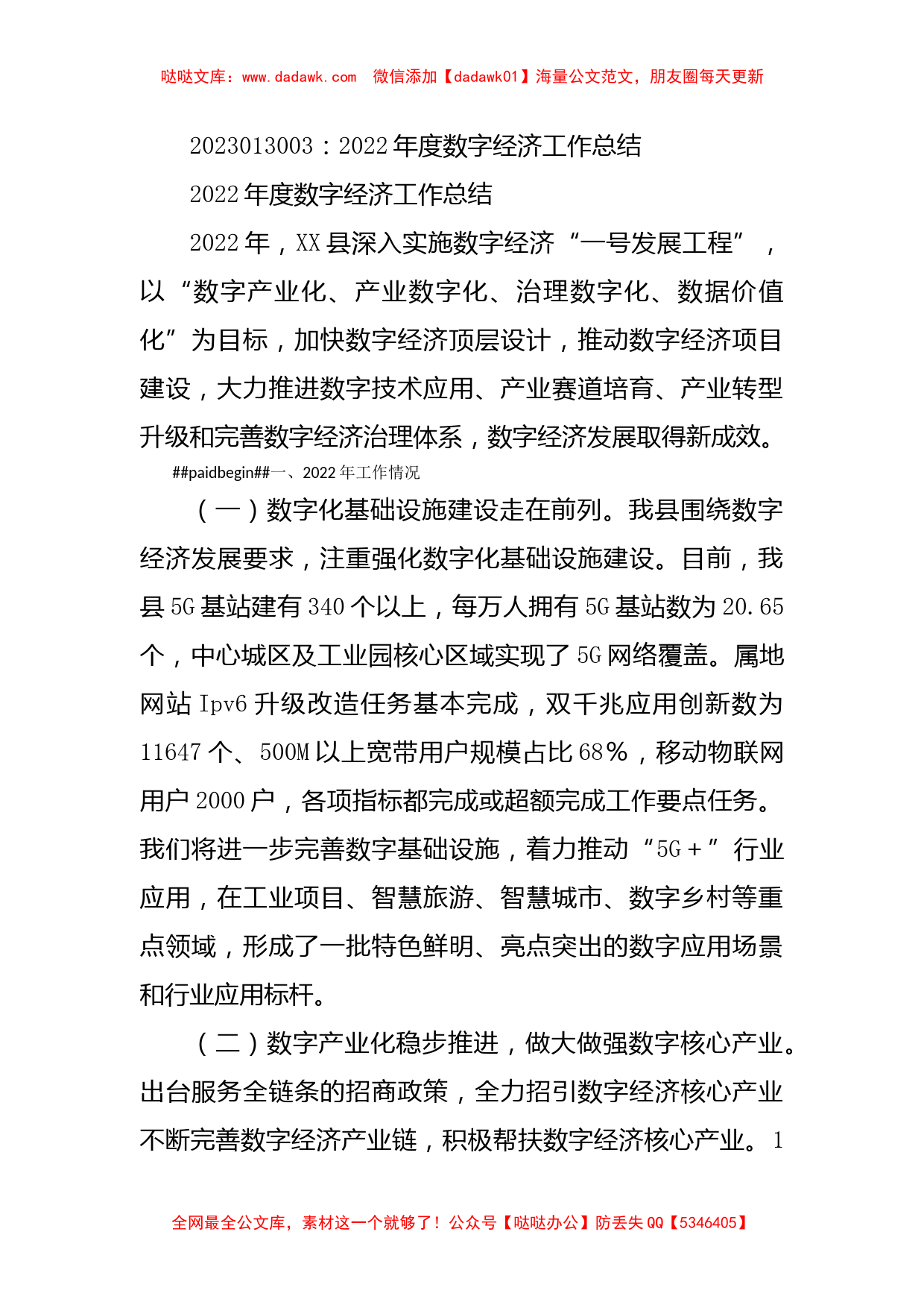 2022年度数字经济工作总结_第1页