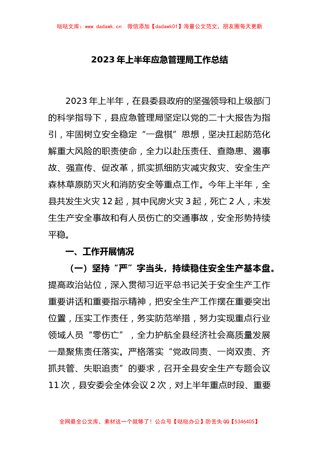 2023年上半年应急管理局工作总结_第1页