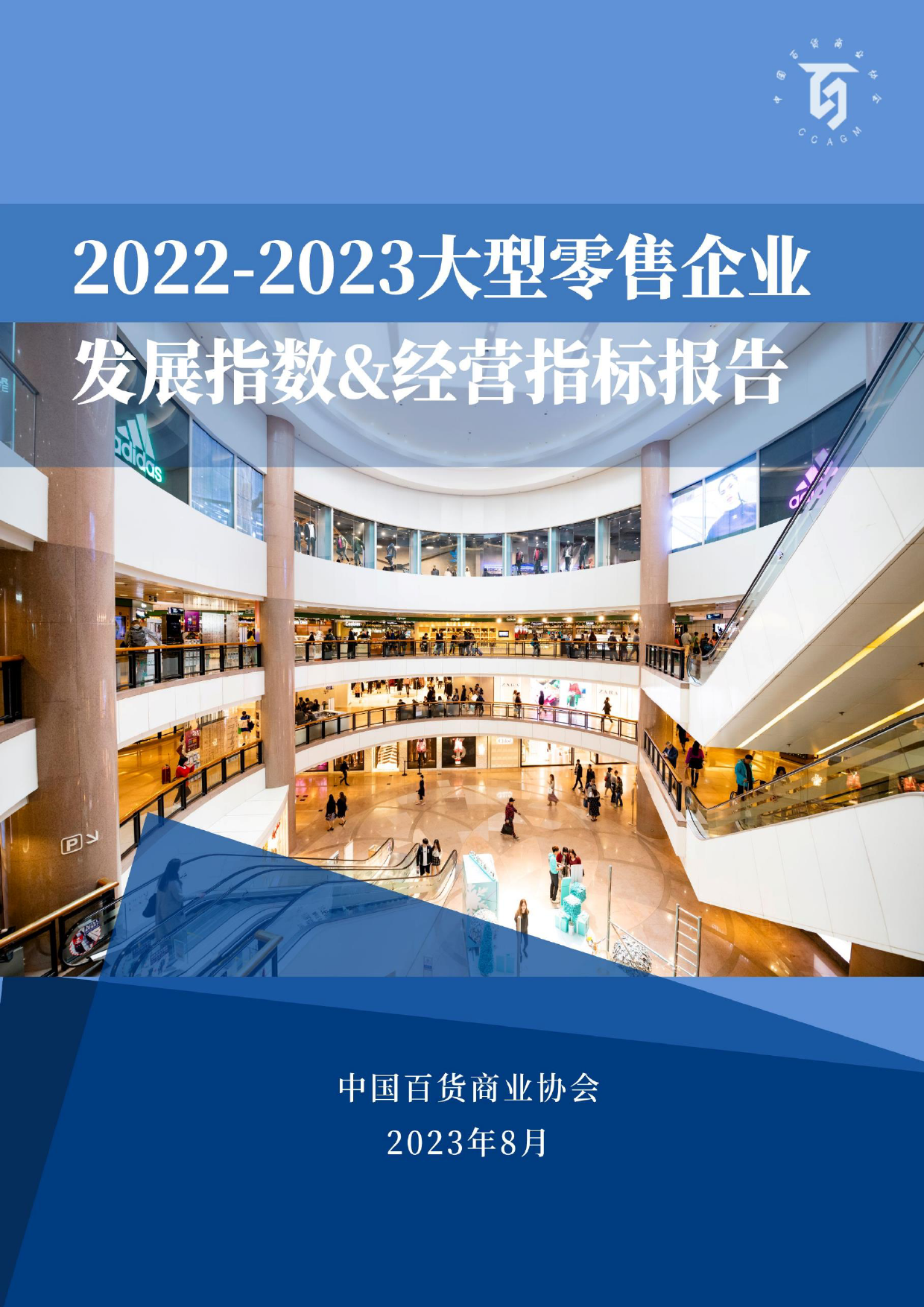 2022-2023大型零售企业发展指数&经营指标报告_第1页