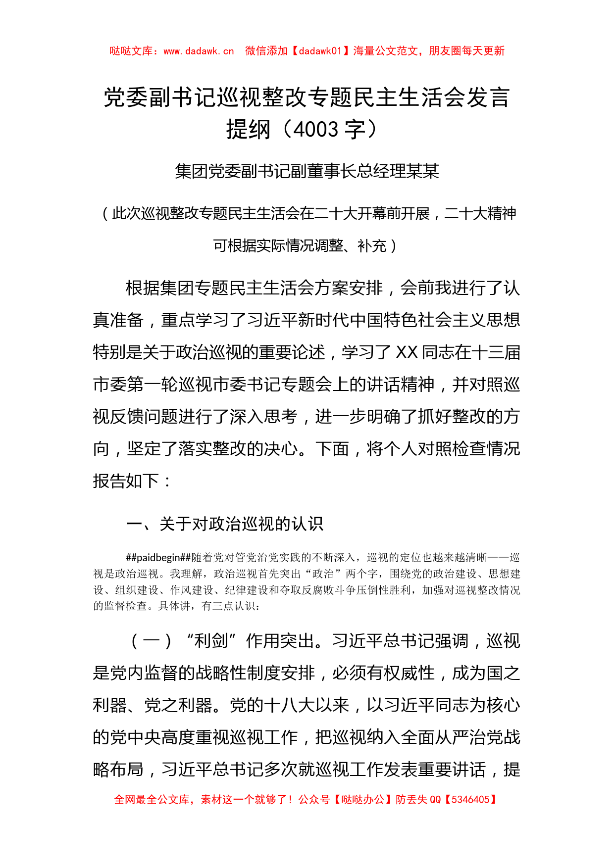 党委副书记巡视整改专题民主生活会发言提纲_第1页