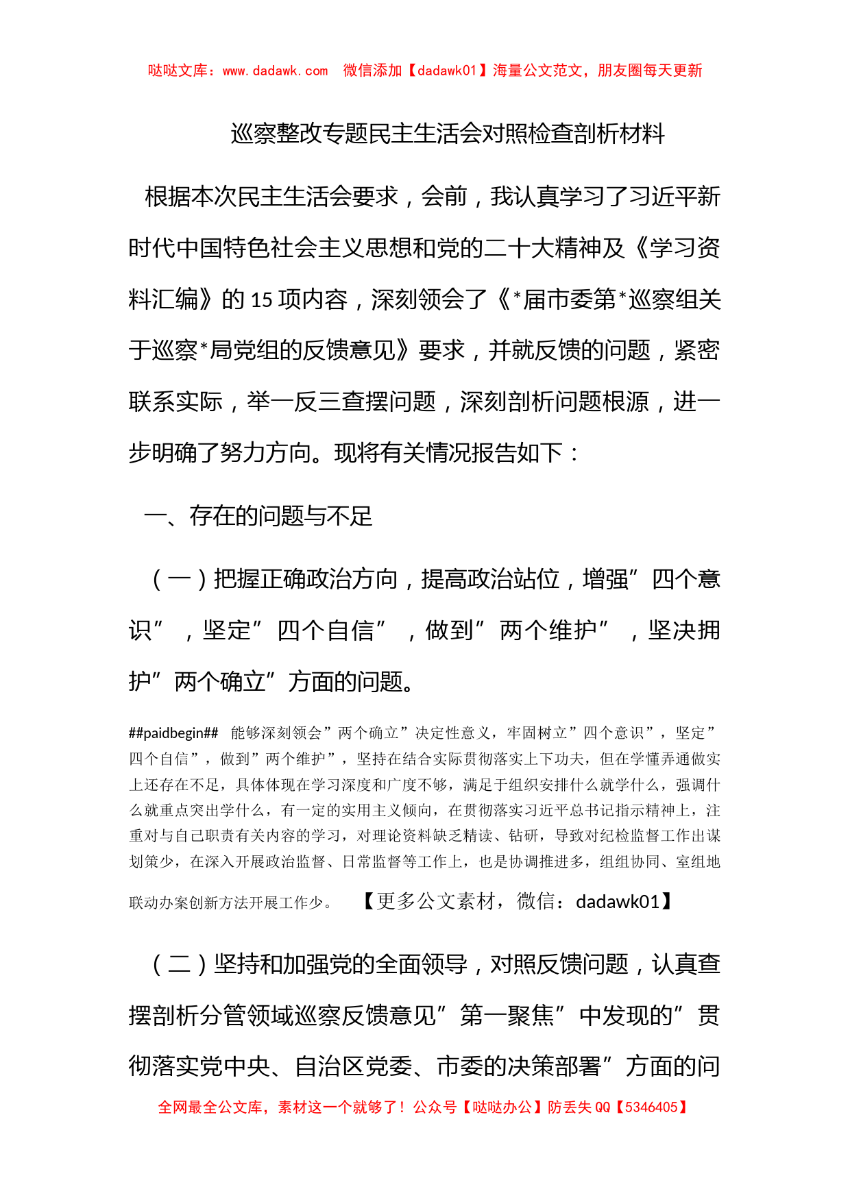 巡察整改专题民主生活会对照检查剖析材料_第1页