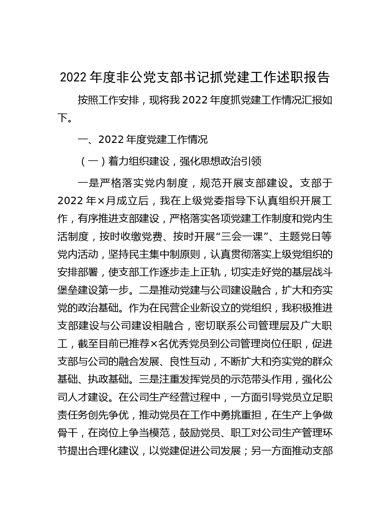 2022年度非公党支部书记抓党建工作述职报告_第1页