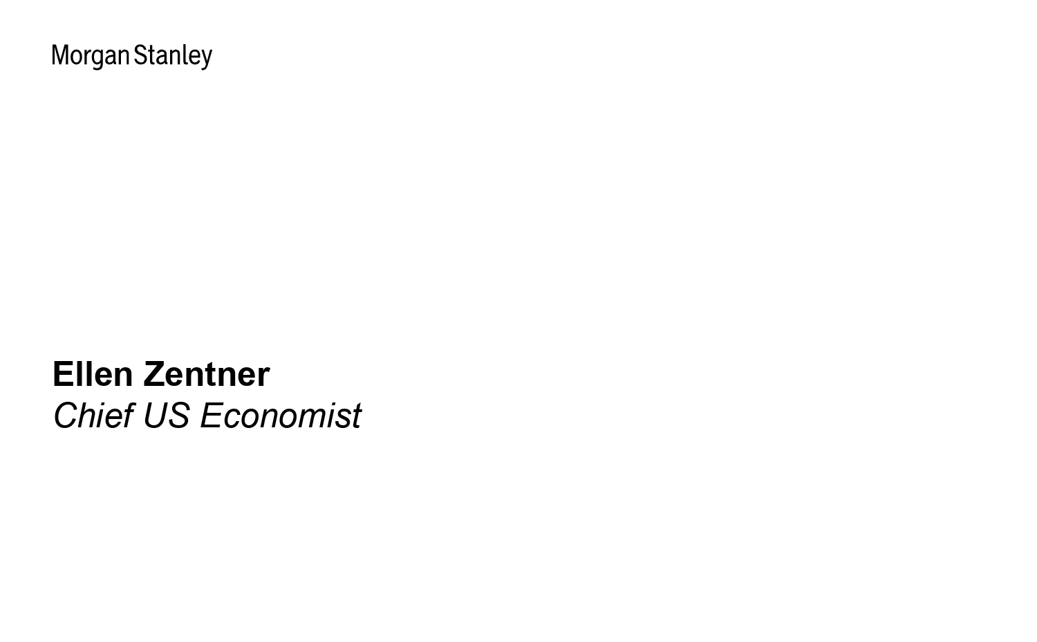 Morgan Stanley Fixed-Morgan Stanley Global Macro Forum Immigration and Labor Sup...-106842725_第2页