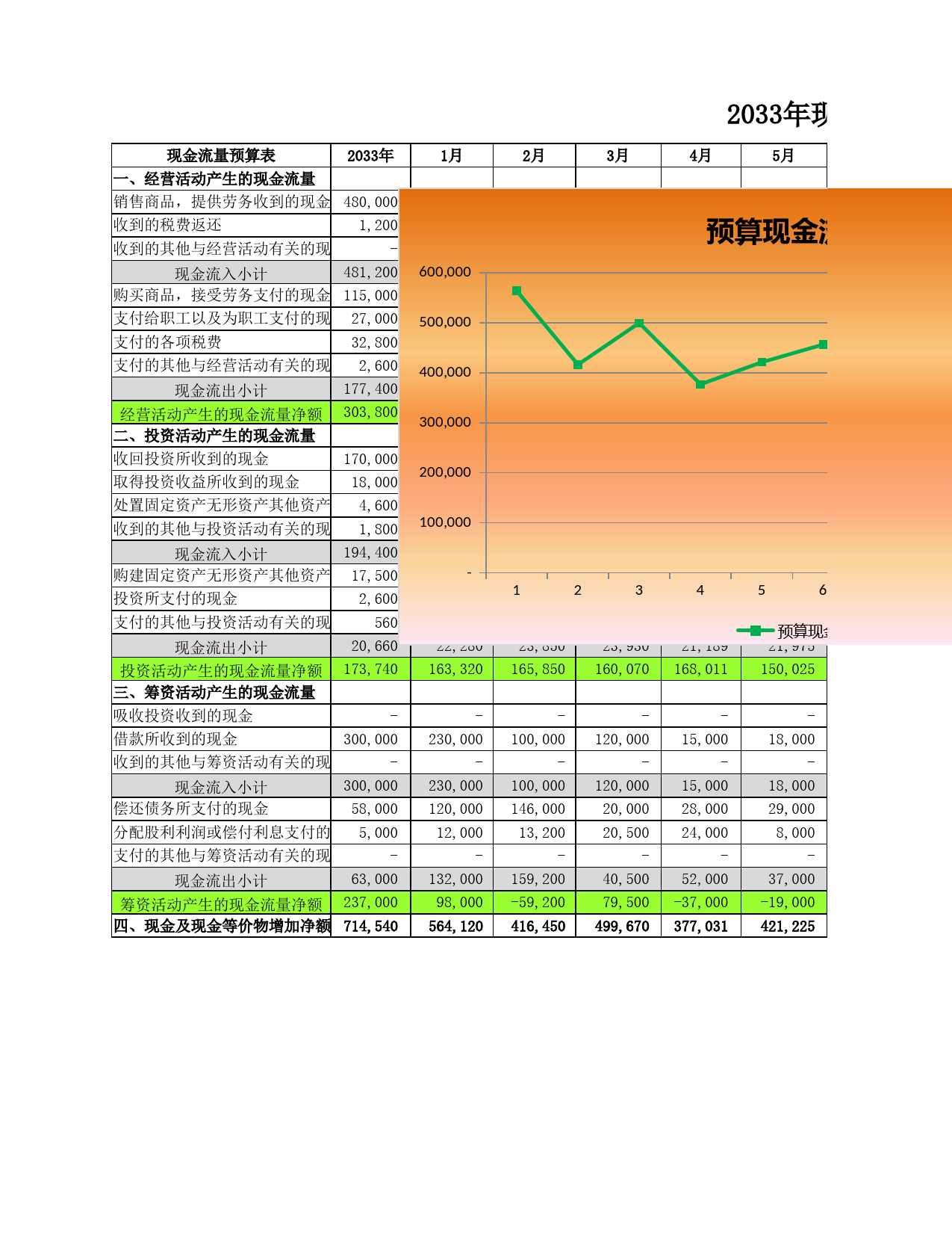 预算现金流量表_第1页