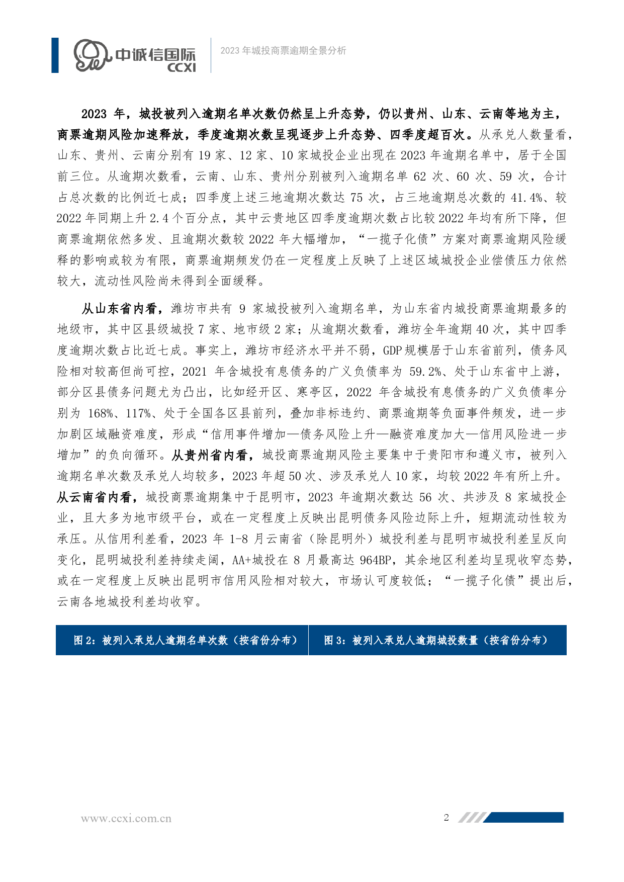 2023年城投商票逾期全景分析-9页_第2页