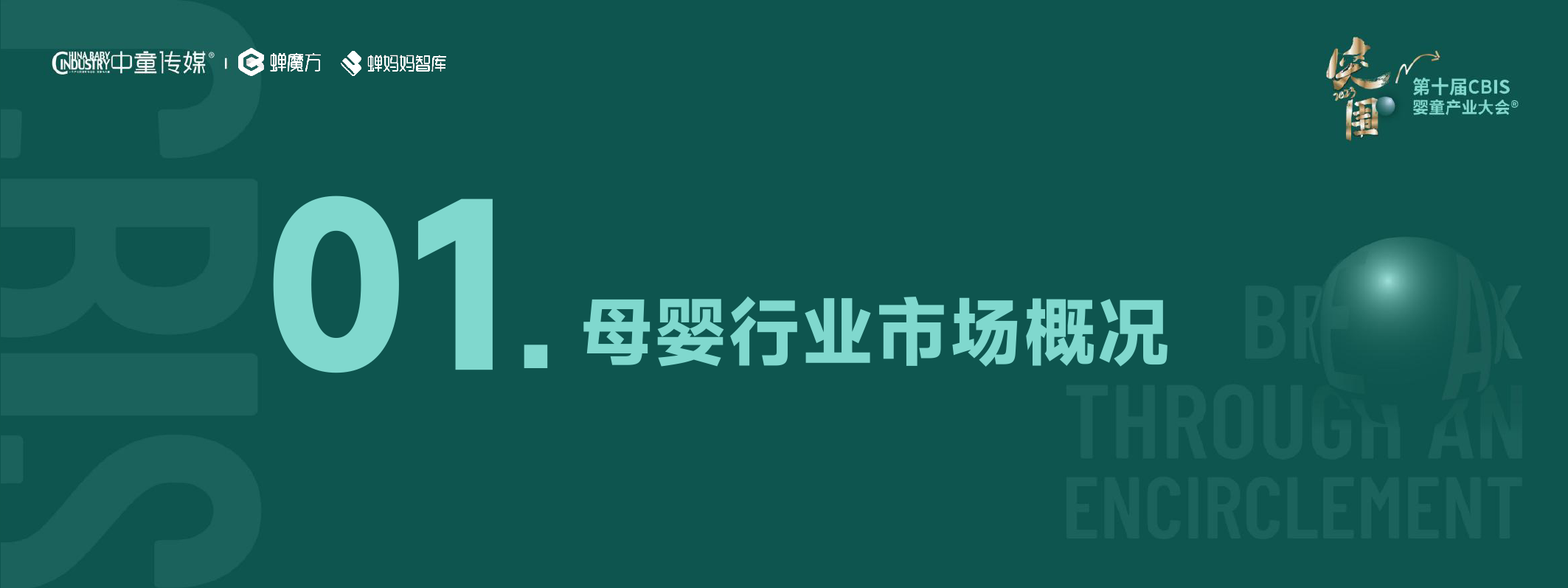 2023CBIS母婴行业报告-36页_第3页