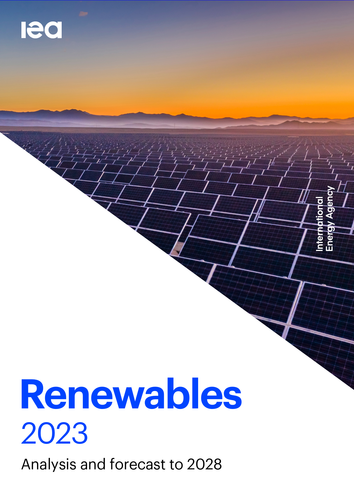 可再生能源2023至2028年的分析及预测Renewables_2023-英-143页_第1页