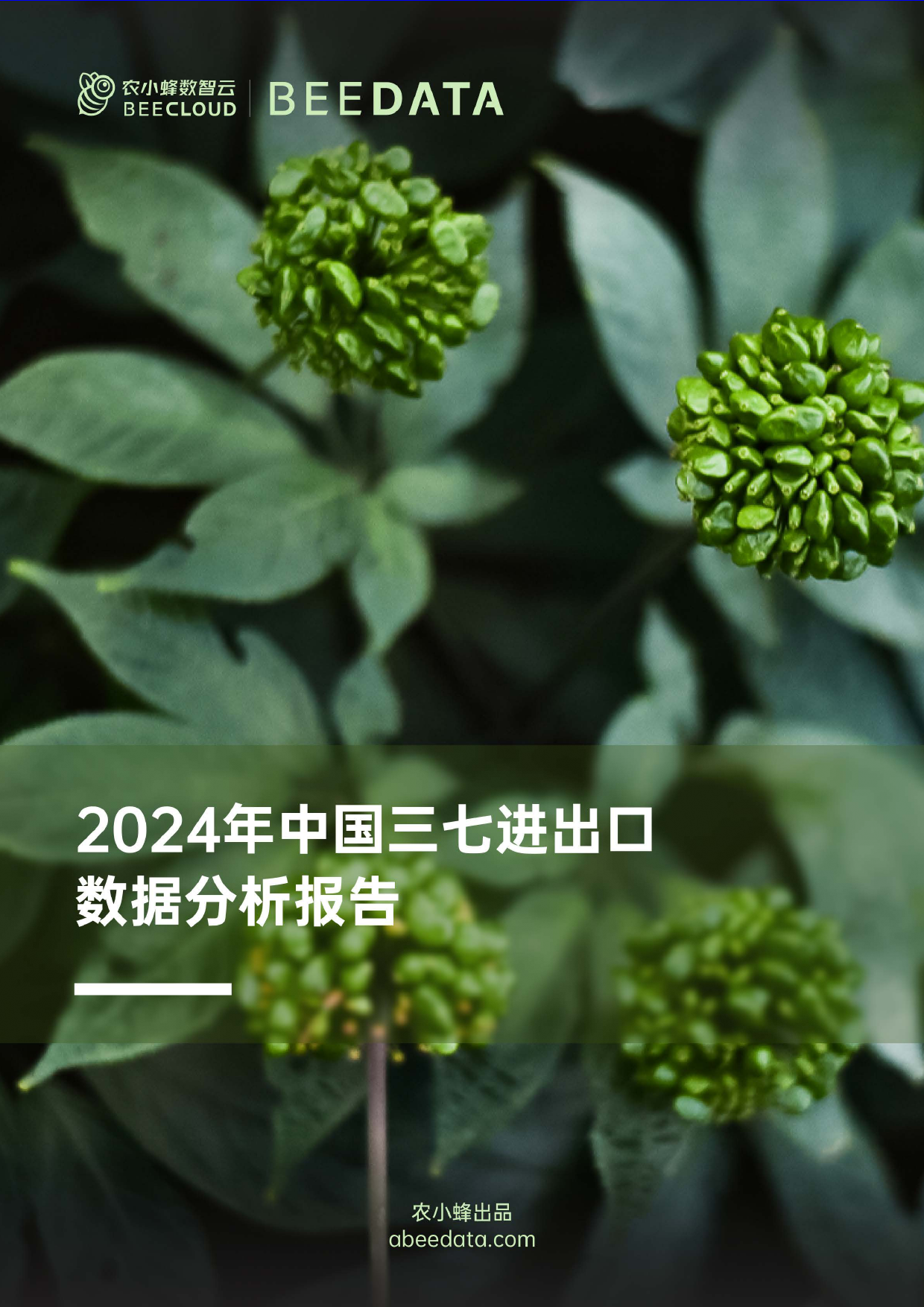 2024年中国三七进出口数据分析报告-15页_第1页