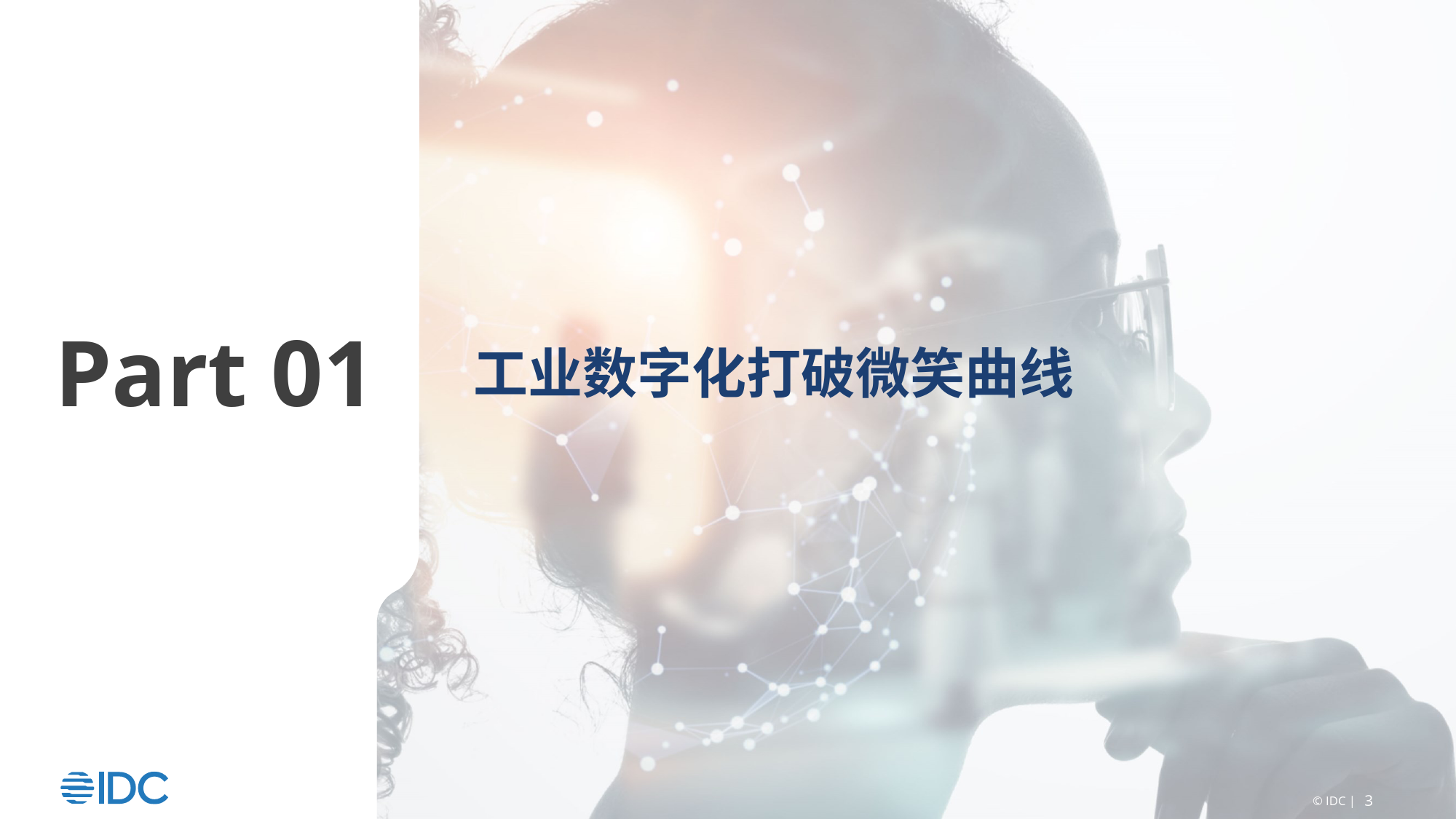 工业企业数字化的两种路径研究报告（2024.4）-35页_第3页