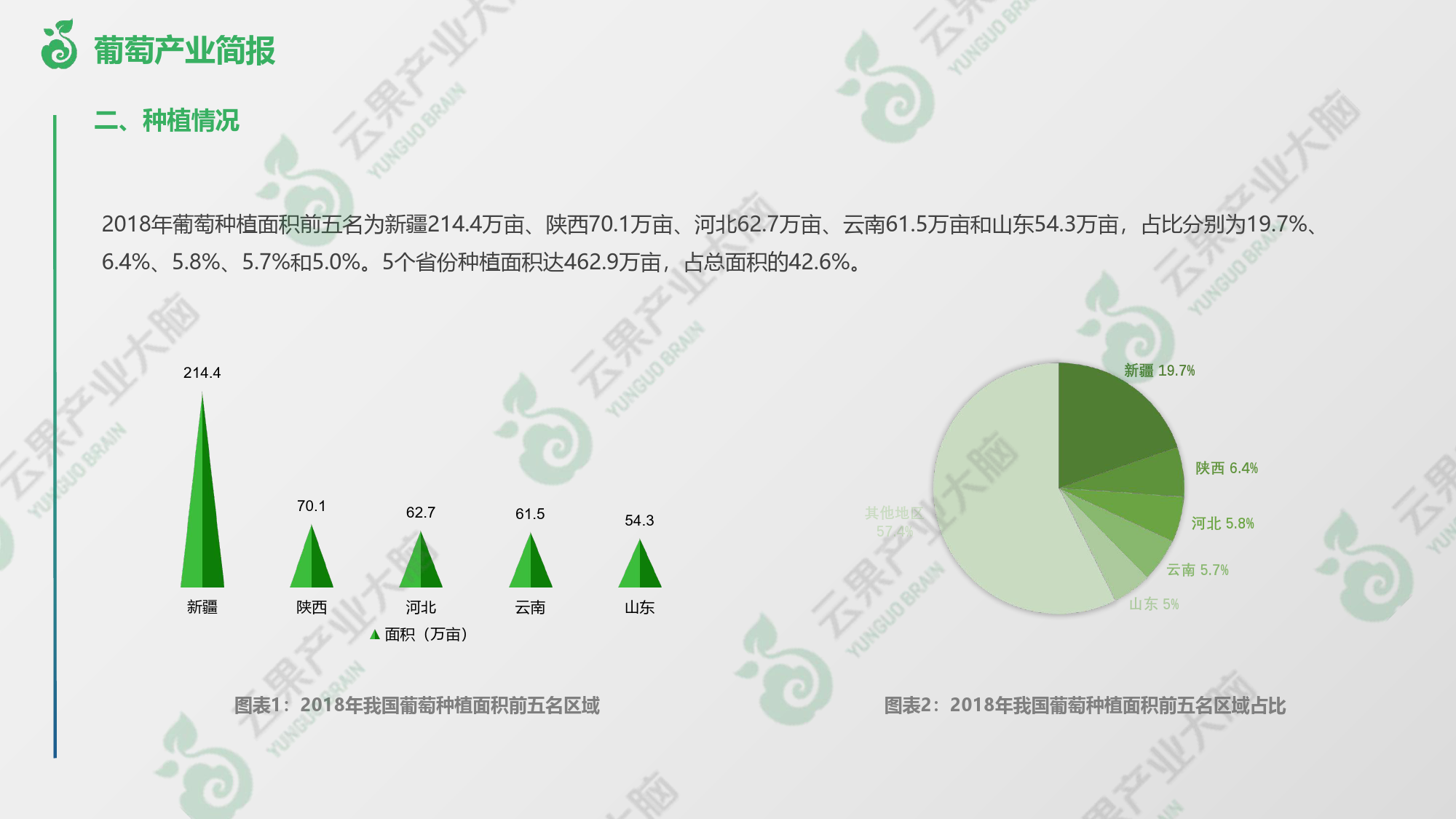 中国葡萄产业概况-8页_第3页