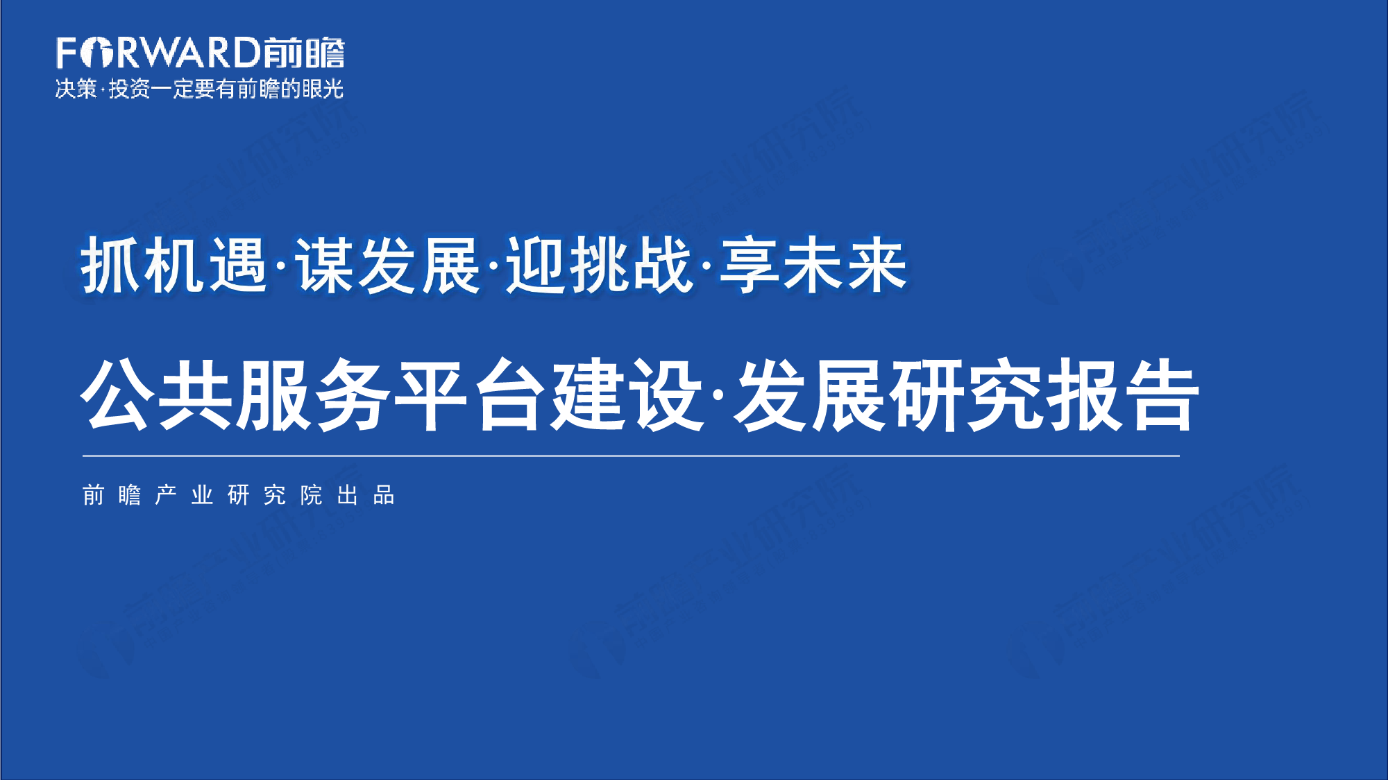 抓机遇·谋发展·迎挑战·享未来 公共服务平台建设·发展研究报告-47页_第1页