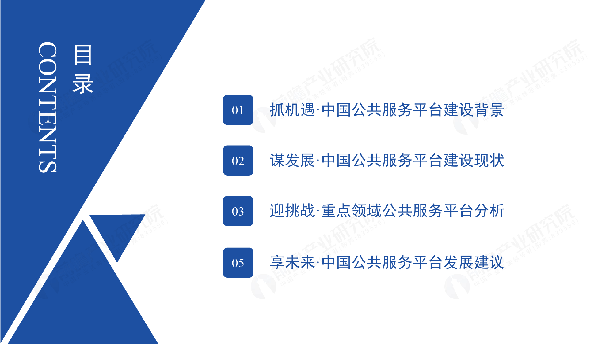 抓机遇·谋发展·迎挑战·享未来 公共服务平台建设·发展研究报告-47页_第2页