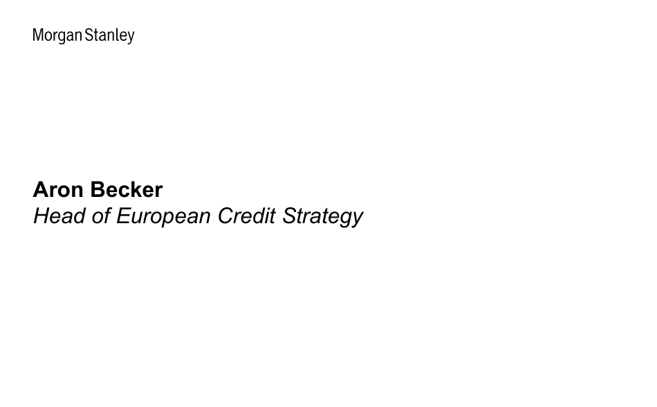 Morgan Stanley Fixed-Global Credit Strategy Global Credit Research Webcast Slide...-108783253_第2页