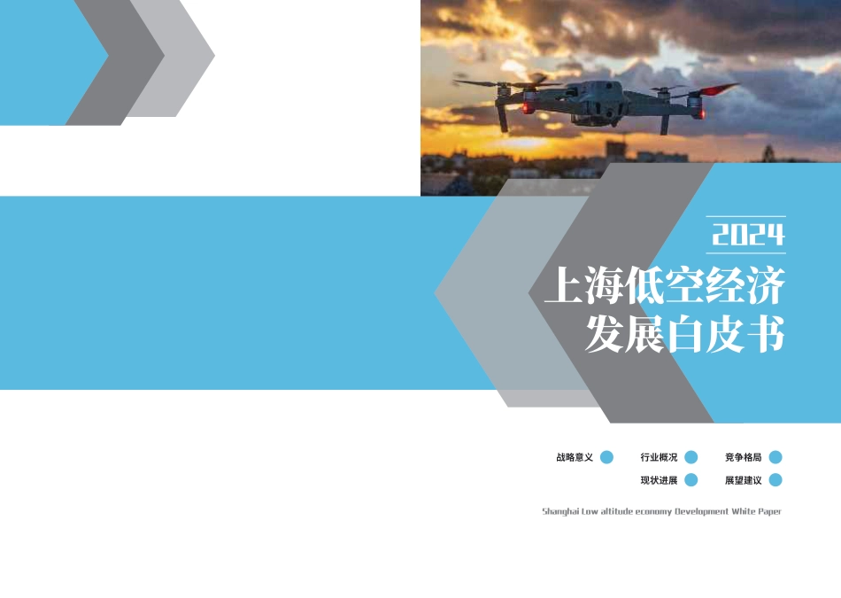 2024上海低空经济发展白皮书_第1页