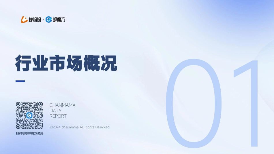 2024抖音电商湿厕纸行业分析报告_第4页