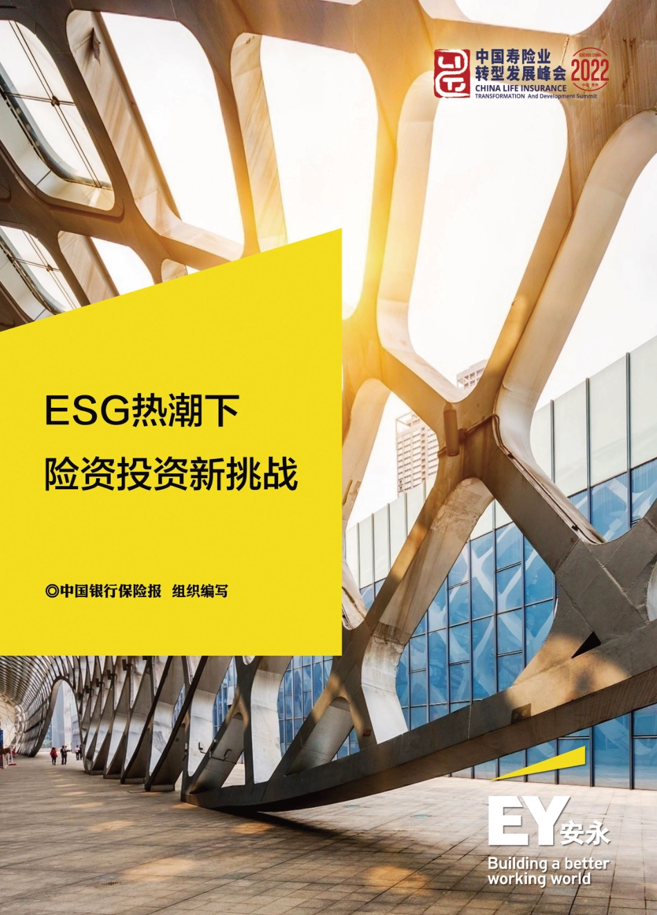 ESG热潮下险资投资新挑战_第1页