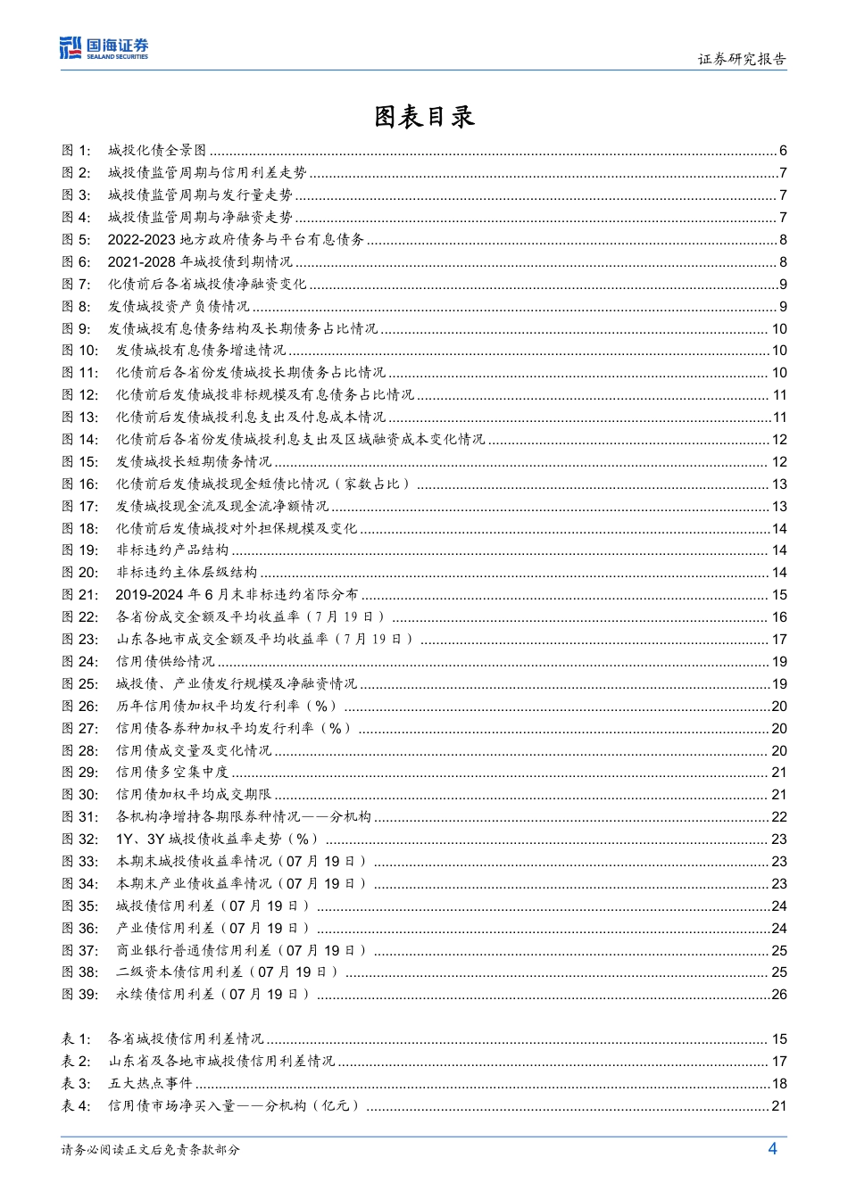 债券研究：化债一年成效几何？-240724-国海证券-29页_第4页