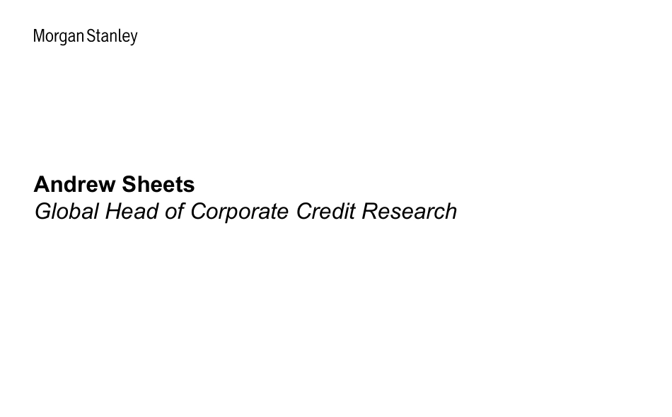 Morgan Stanley Fixed-Global Credit Strategy Global Credit Research Webcast Slide...-_第2页