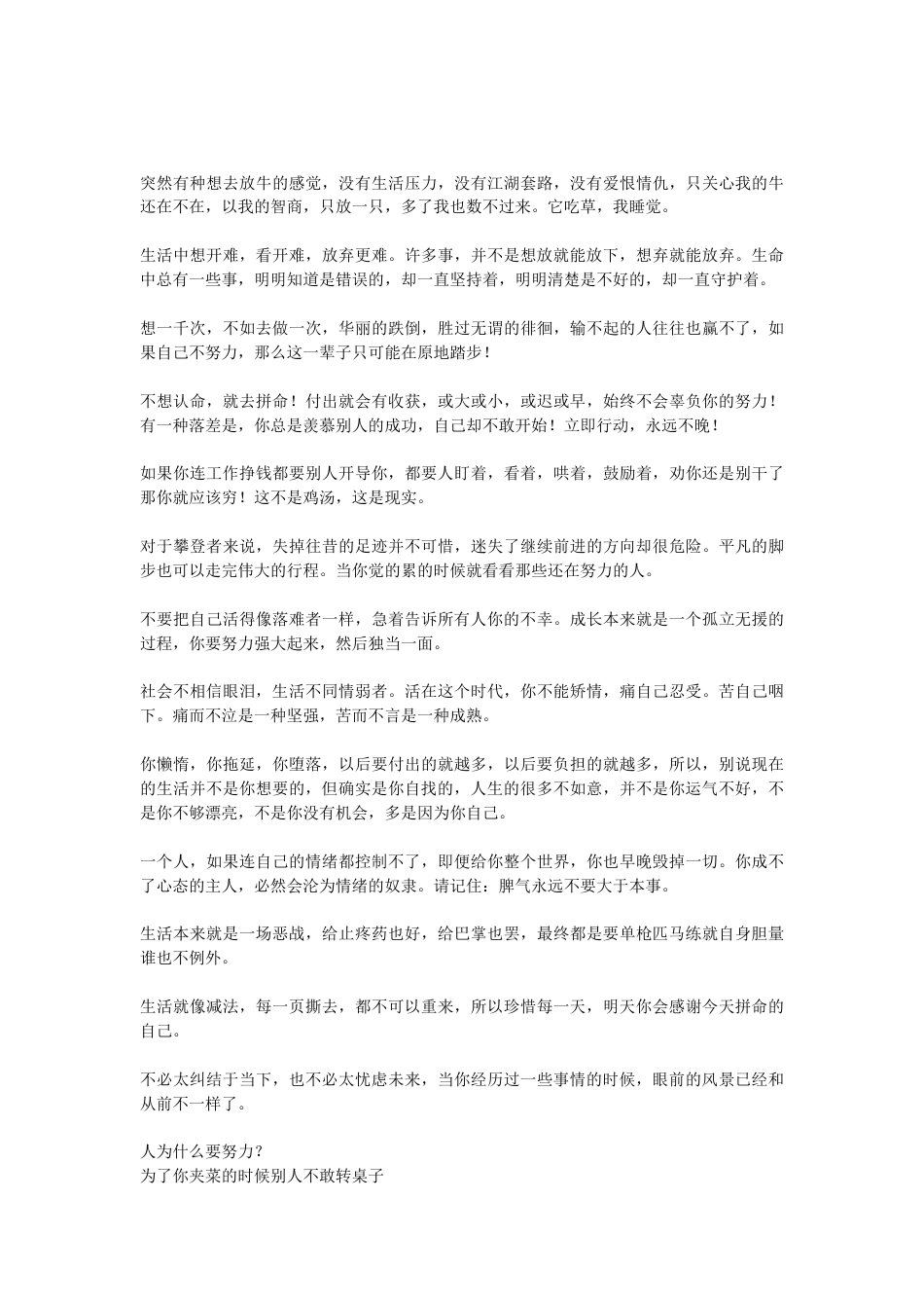 新建 DOCX 文档_第2页