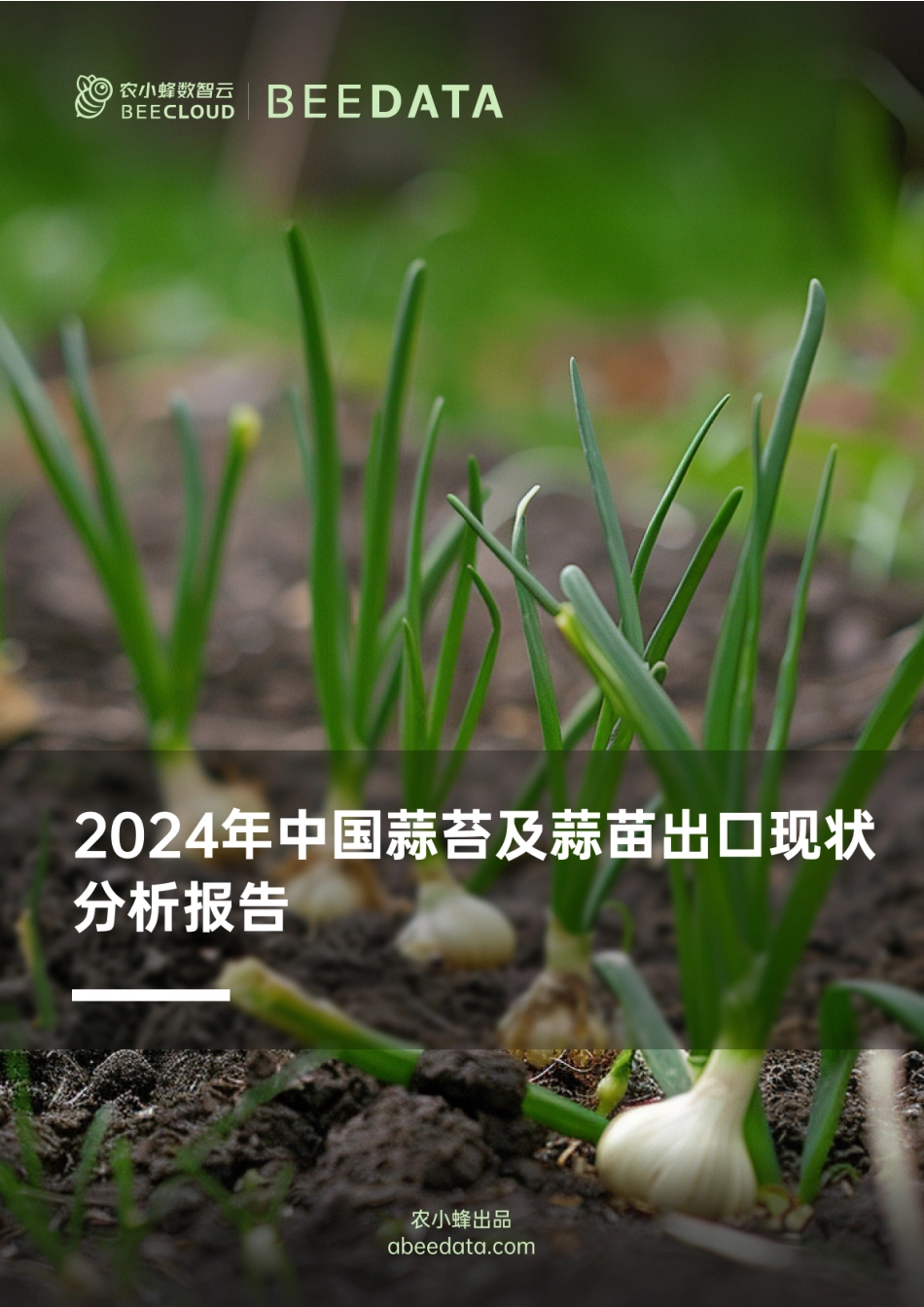 农小蜂-2024年中国蒜苔及蒜苗出口现状分析报告-23页_第1页