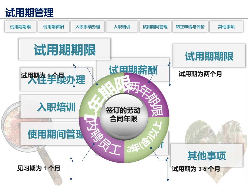 最好的人事管理制度模版_第4页