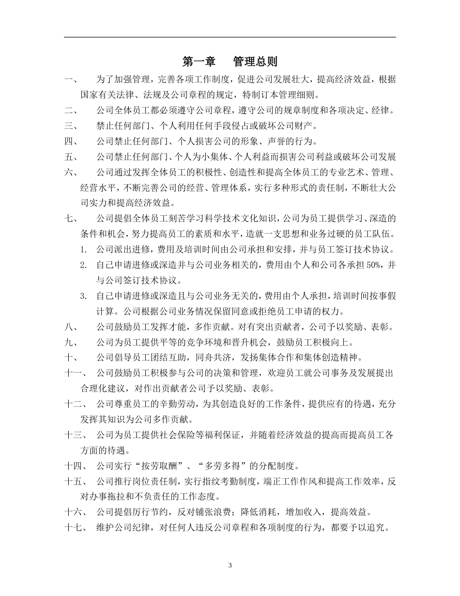 公司规章制度方案_第3页