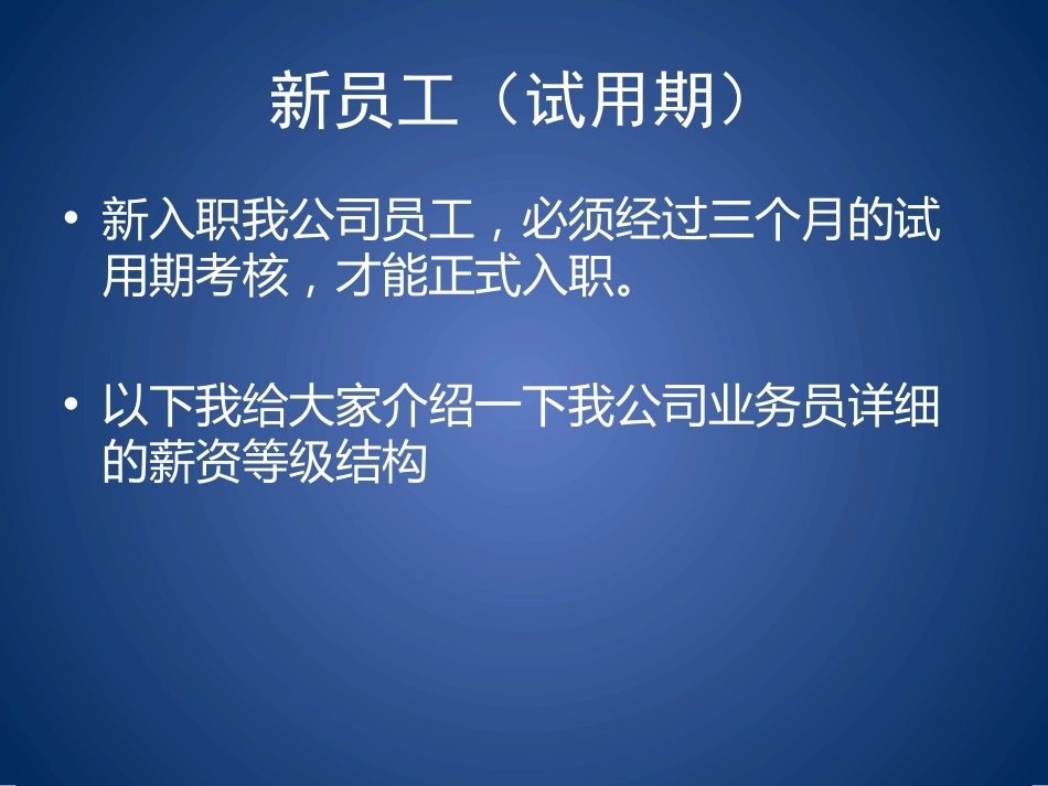 业务员薪资等级结构表_第2页