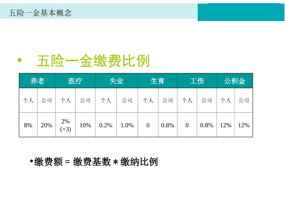 五险一金基本常识_第4页