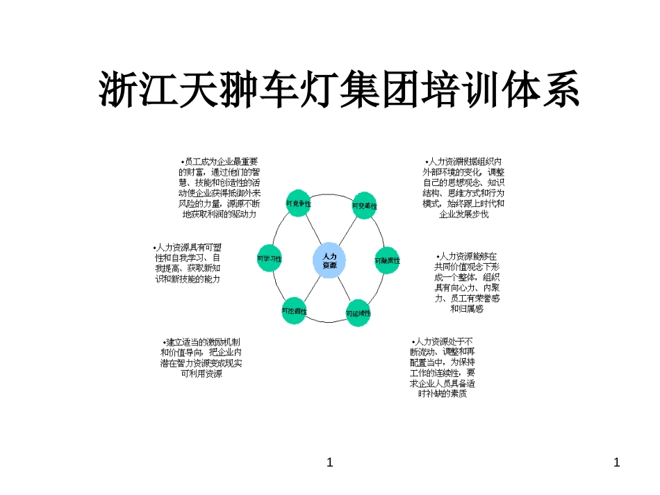 浙江天翀车灯集团培训体系_第1页