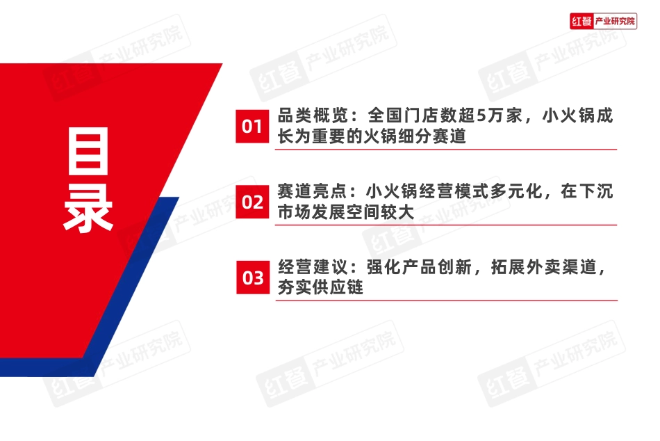 小火锅品类发展报告2024-27页_第3页