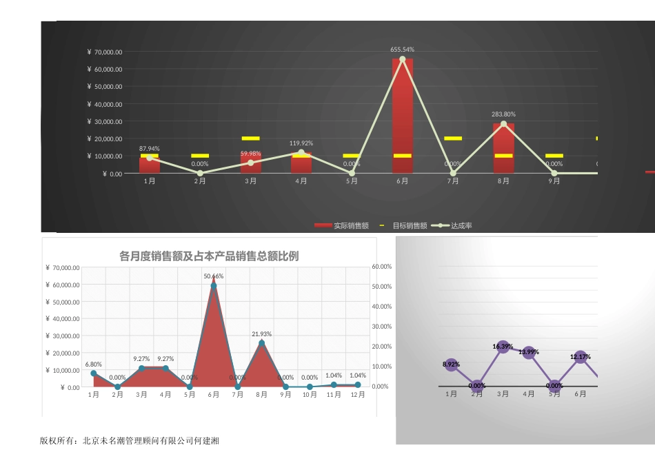 任一产品（编号）每月销售额业绩达成分析（三张表）1_第2页