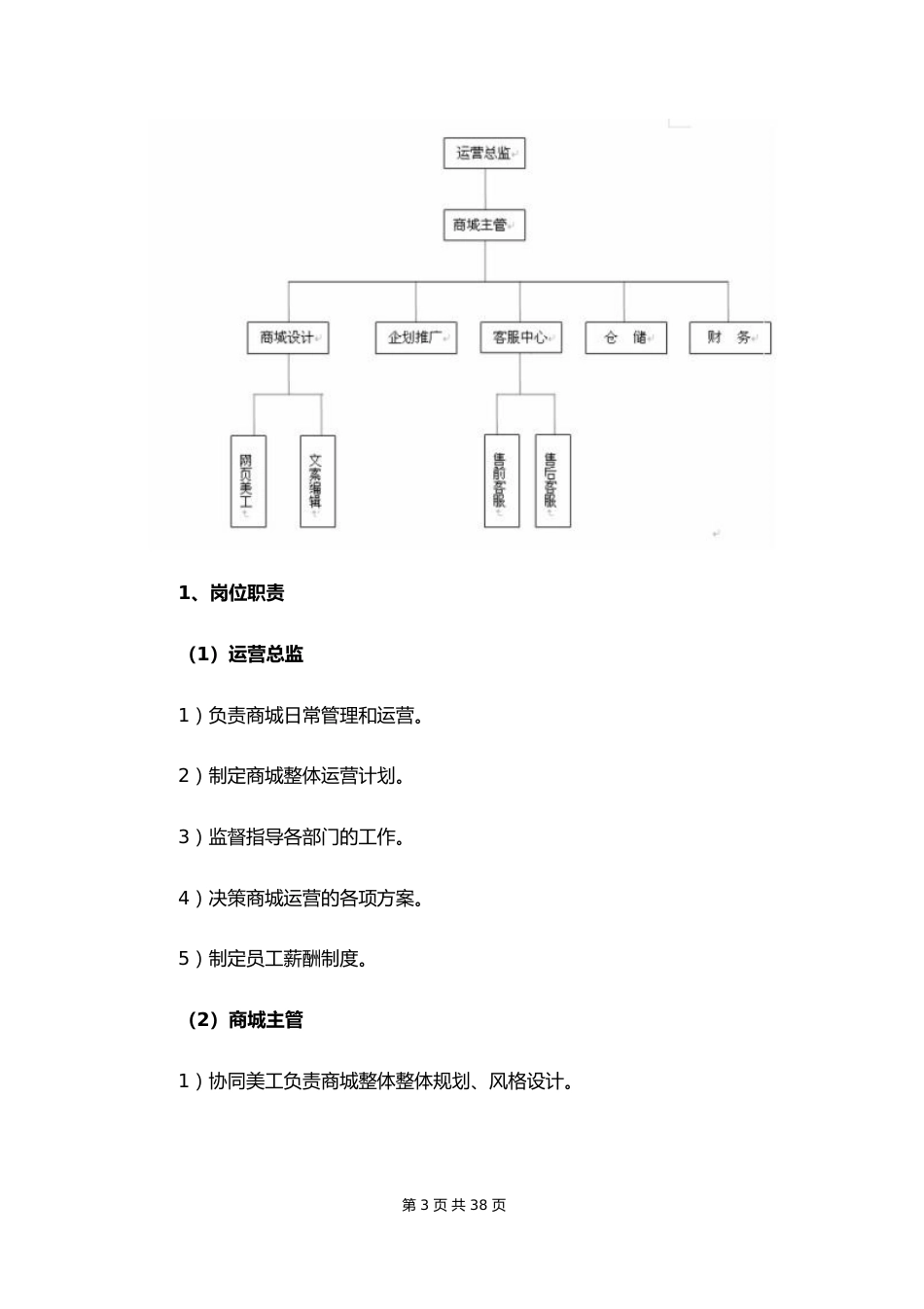 02--04-电商运营计划书_第3页