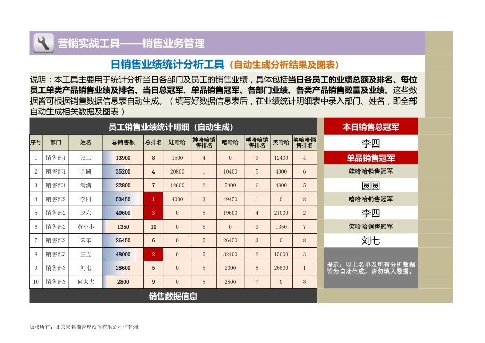 日销售业绩统计分析工具（自动处理复杂数据信息）_第1页