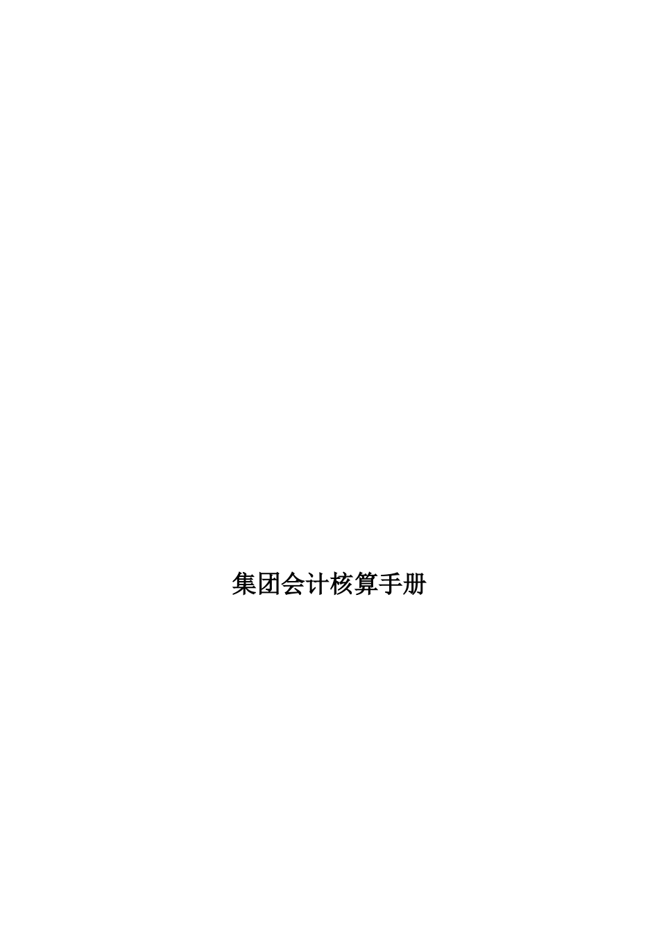 集团会计核算手册_第1页