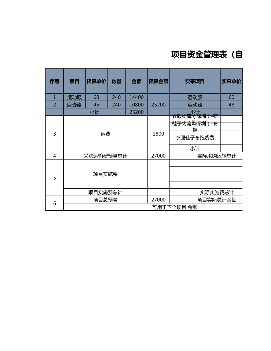 项目资金管理表（自动计算）_第1页