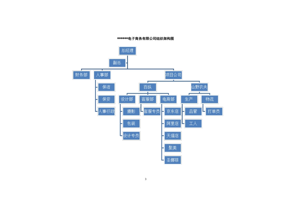 22 -电子商务公司规章制度_第3页