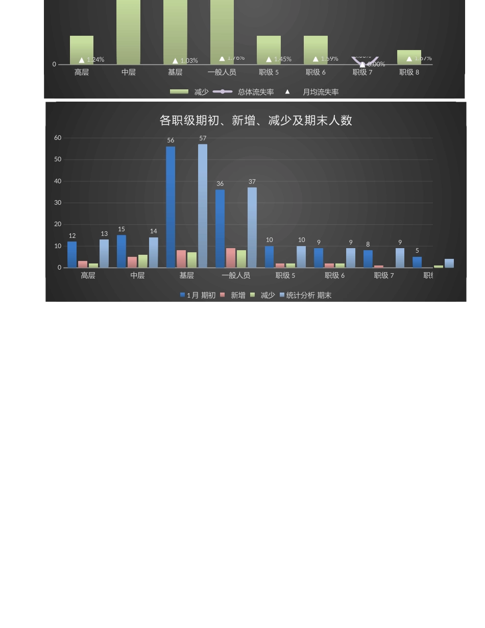 【人力资源管理工具】年度各职级每月员工流失率总体分析（三张表，自动）_第2页