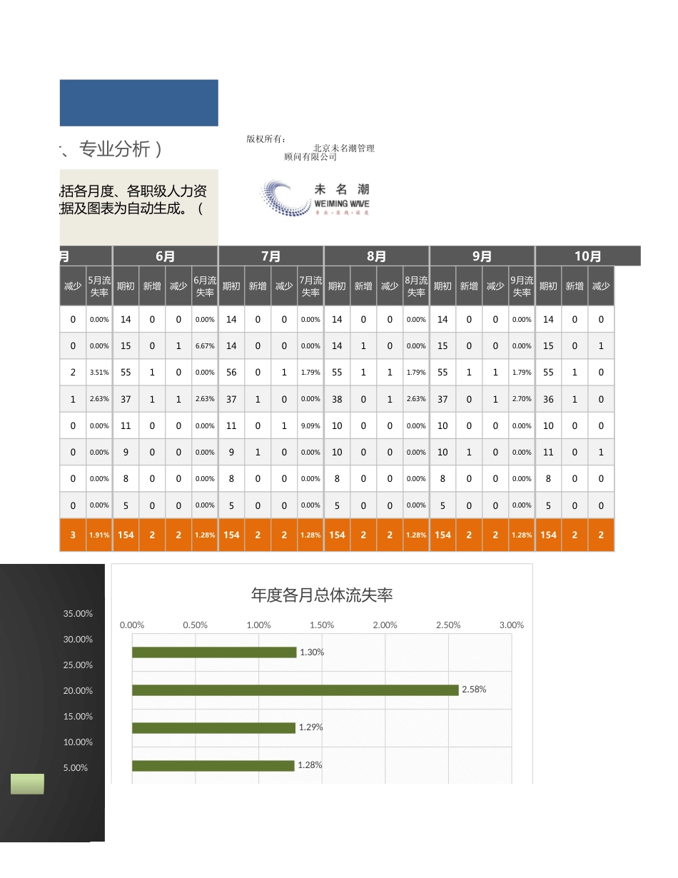 【人力资源管理工具】年度各职级每月员工流失率总体分析（三张表，自动）_第3页